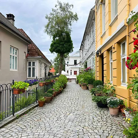 New Cozy Basement Bergen